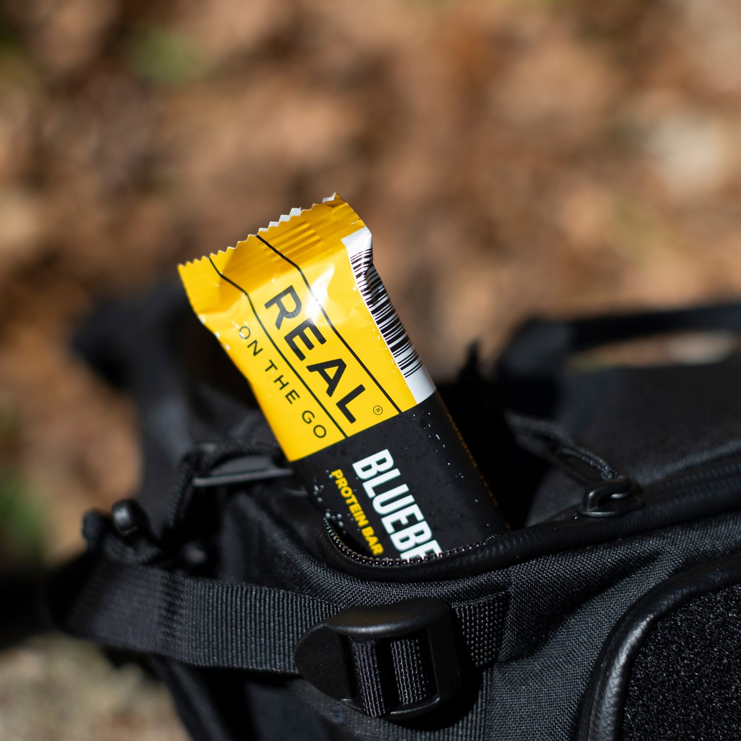 REAL On the Go Blueberry Protein Bar